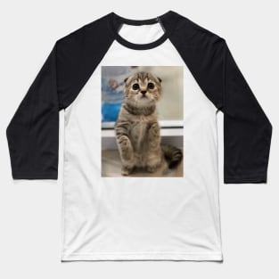 the little cute cats Baseball T-Shirt